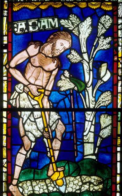 Stained glass depiction of Adam.